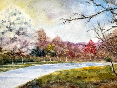 Bee Tree Park 3.24.23