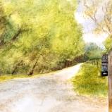 Katy Trail at Dutzow 4.29.25