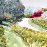Stone Hill Norton 6.11.25