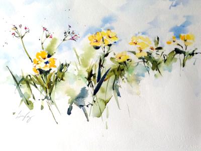 Yellow Wall Flowers