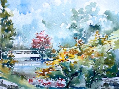 Twin Oaks Park 10.8.16