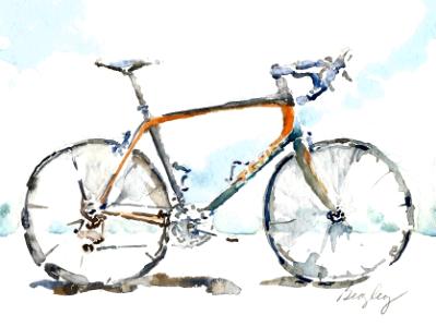 Orange Road Bike