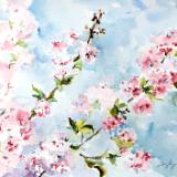 Cherry Tree 4.22.19