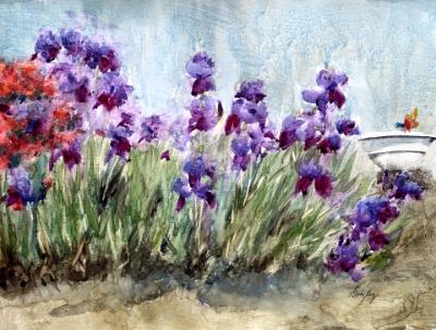 Diane's Irises 4.22.25