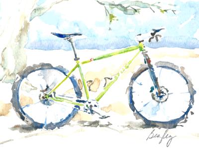 Niner Mountain Bike