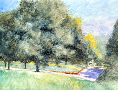 Seibert Park 9.27.25