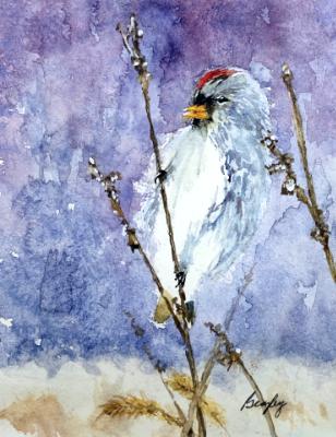 Bird on Branch 2024