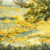 Flowers-Creve Coeur