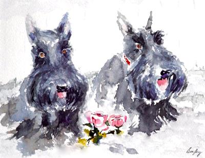Scotties