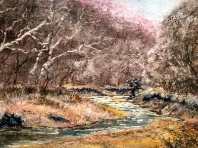 Castlewood State Park 1.19.23